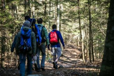 A row of students wearing backpacks walk away from the camera. They wear winter jackets. The ground is covered by dead leaves.